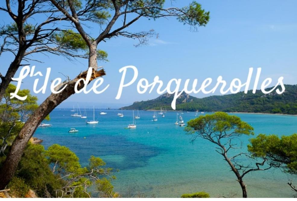Le Terra-Cota 3 Ch Privees 10' Gare-Port Et Plage, Wfi, Cosy Toulon Exteriér fotografie